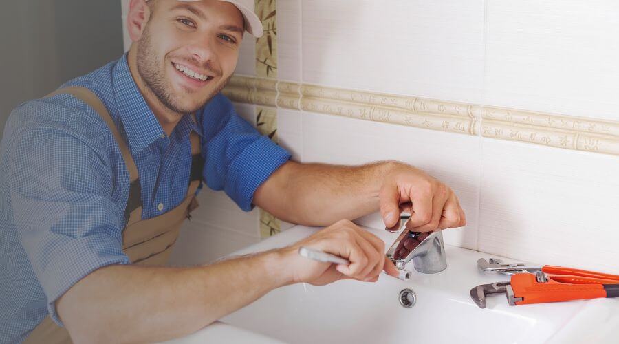 Professional Leak Detection Services services in Oreana, IL